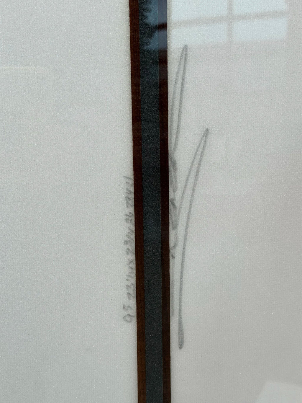 9'5 Scarlet Begonia