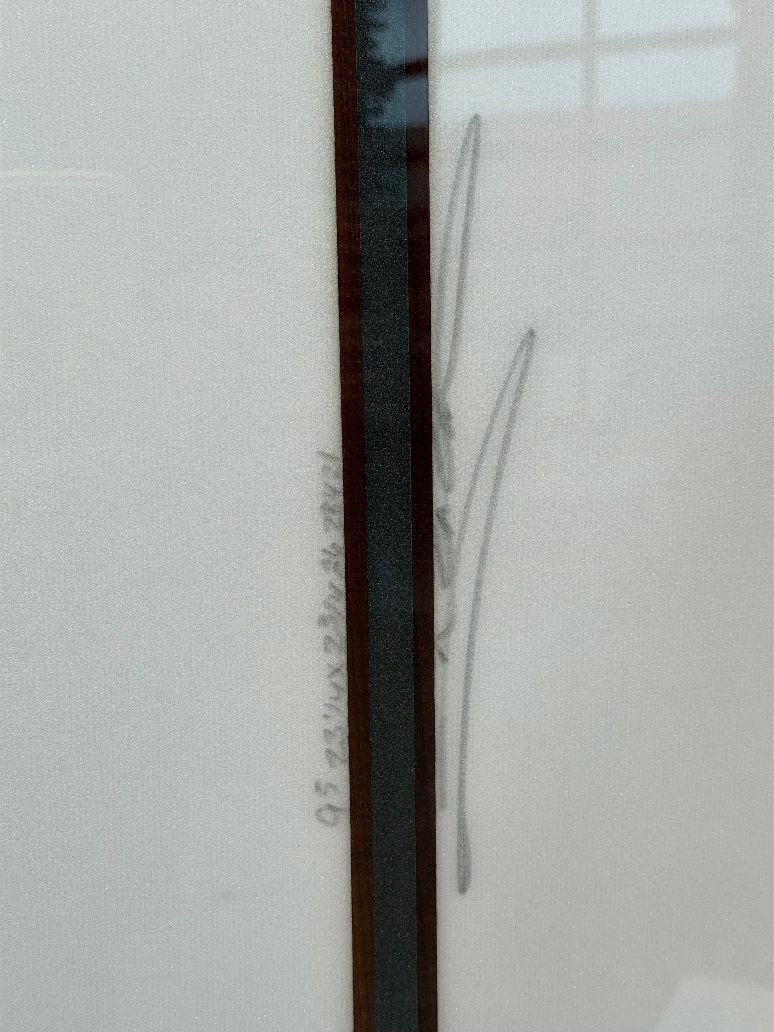 9'5 Scarlet Begonia