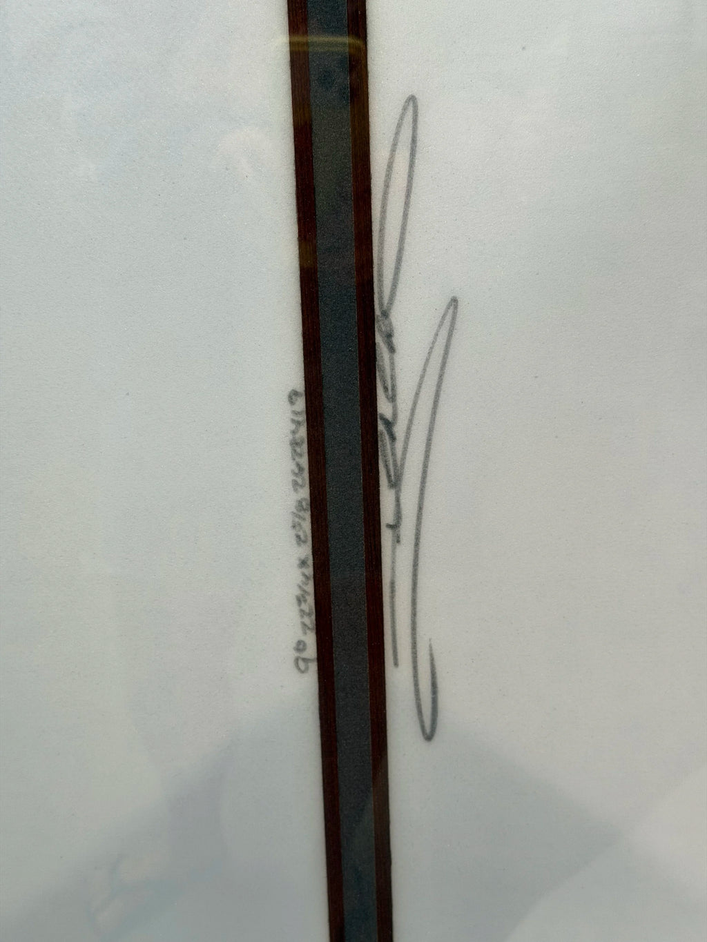 9'0 Scarlet Begonia